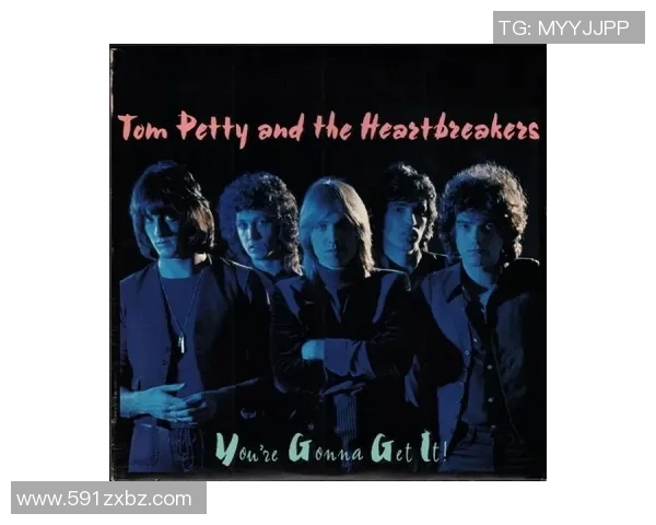 斯通斯的传奇之旅：从摇滚巨星到文化象征的变迁与影响