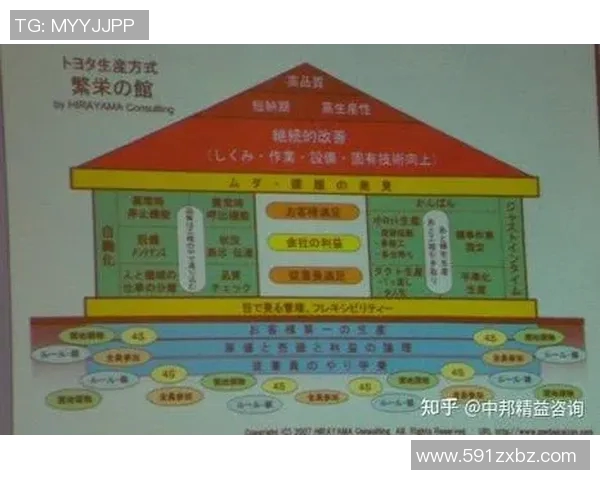 代怀博的成长之路与未来发展展望：从初创到行业领军者的蜕变之旅